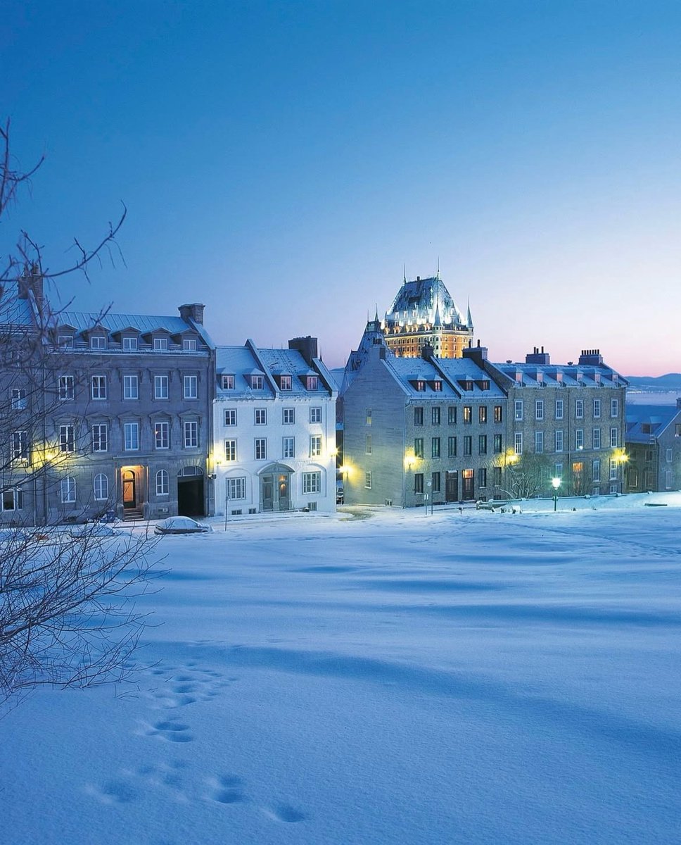 Aqua Vibes tweet media