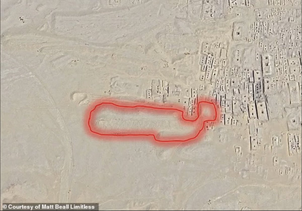 Metakognita tweet media