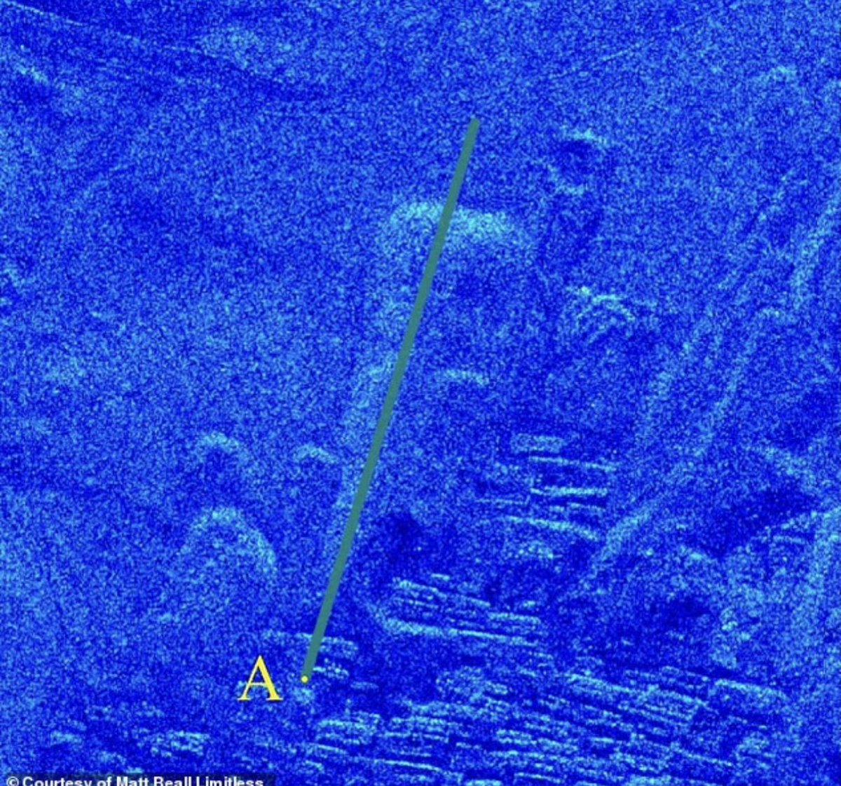 Metakognita tweet media