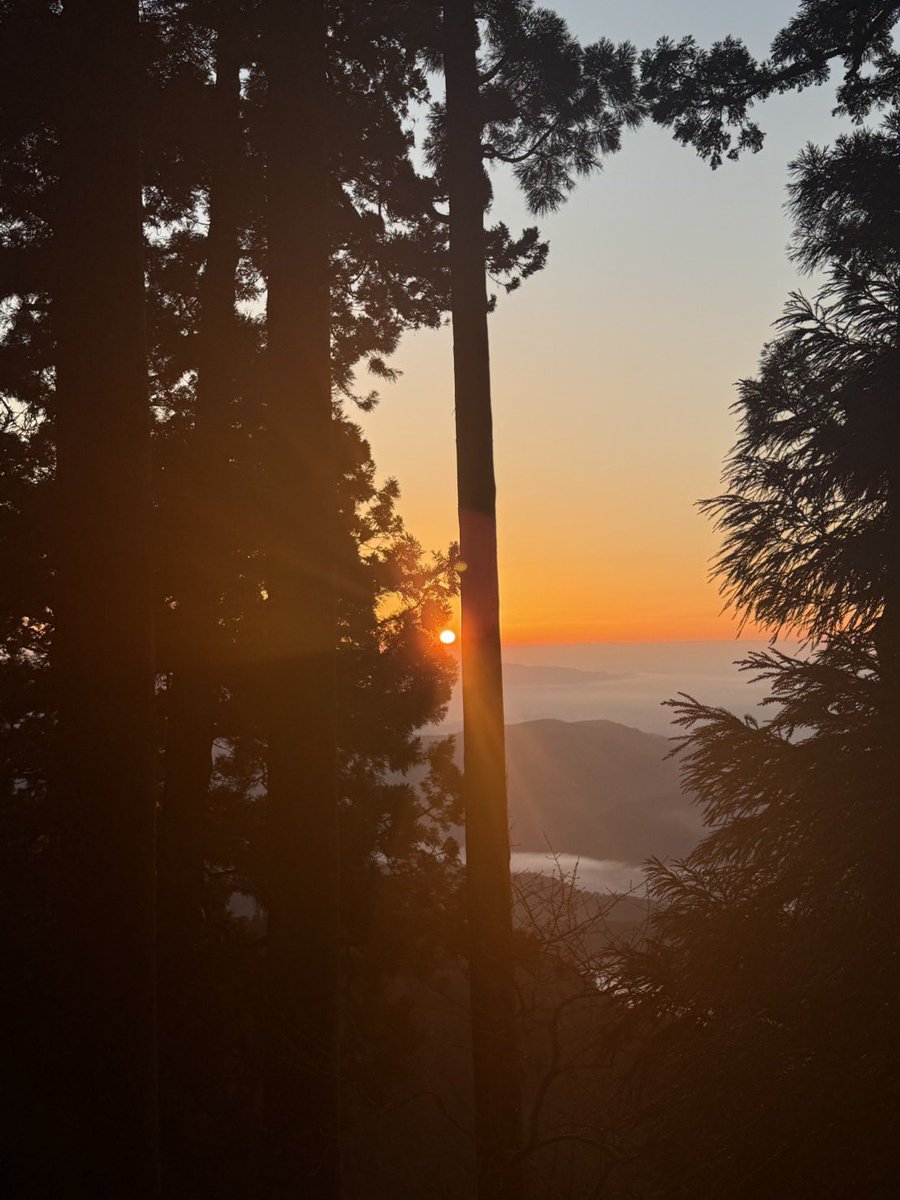 総本宮 京都 愛宕神社 tweet media