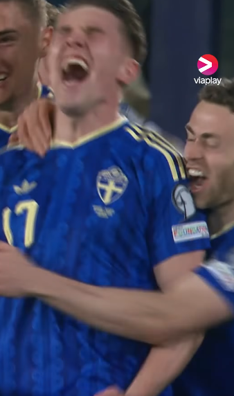 🇸🇪 tweet media