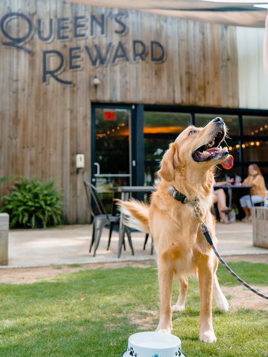 Tupelo, Mississippi tweet media