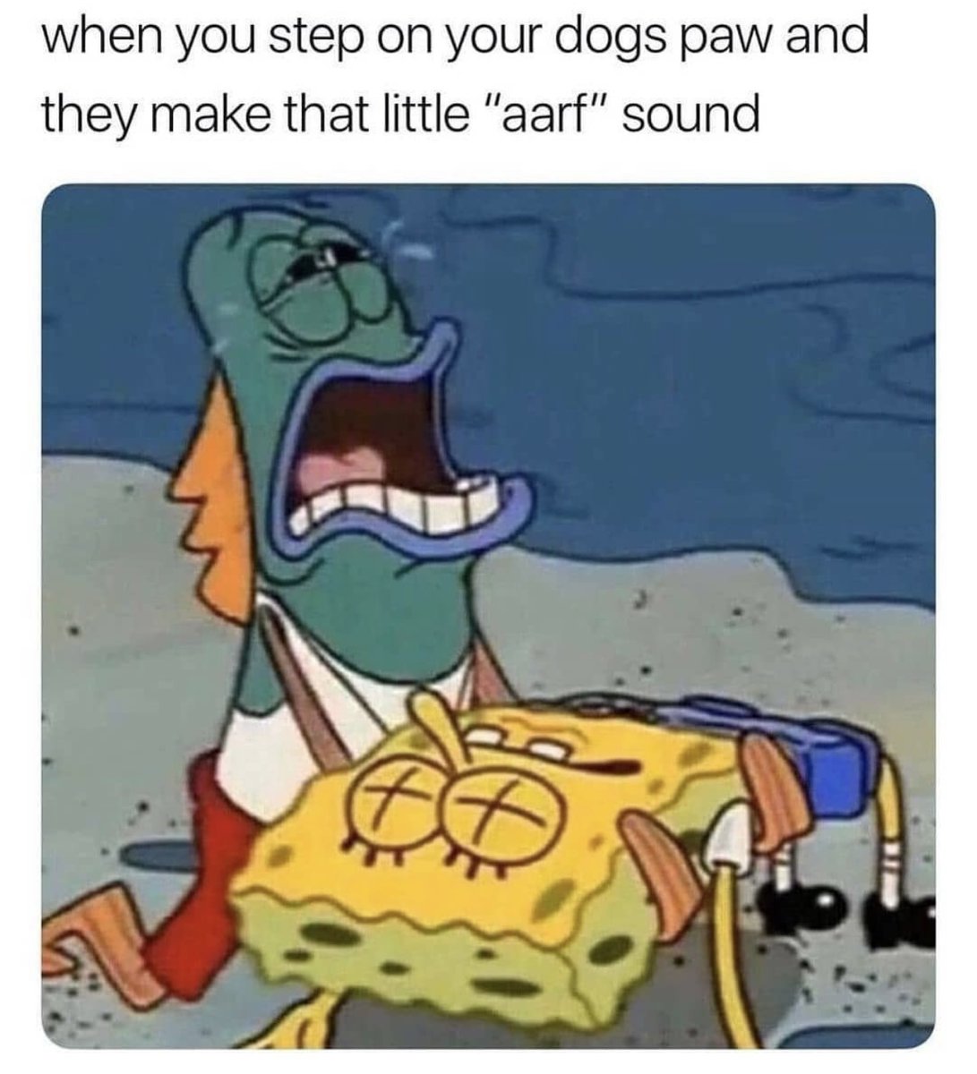 Spill The Memes tweet media