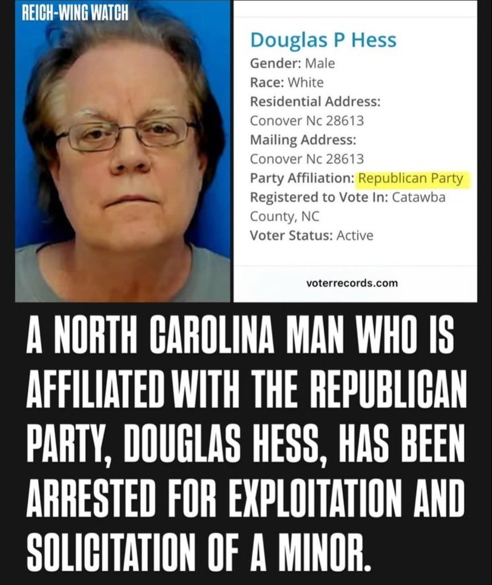 DogsAreBetter tweet media