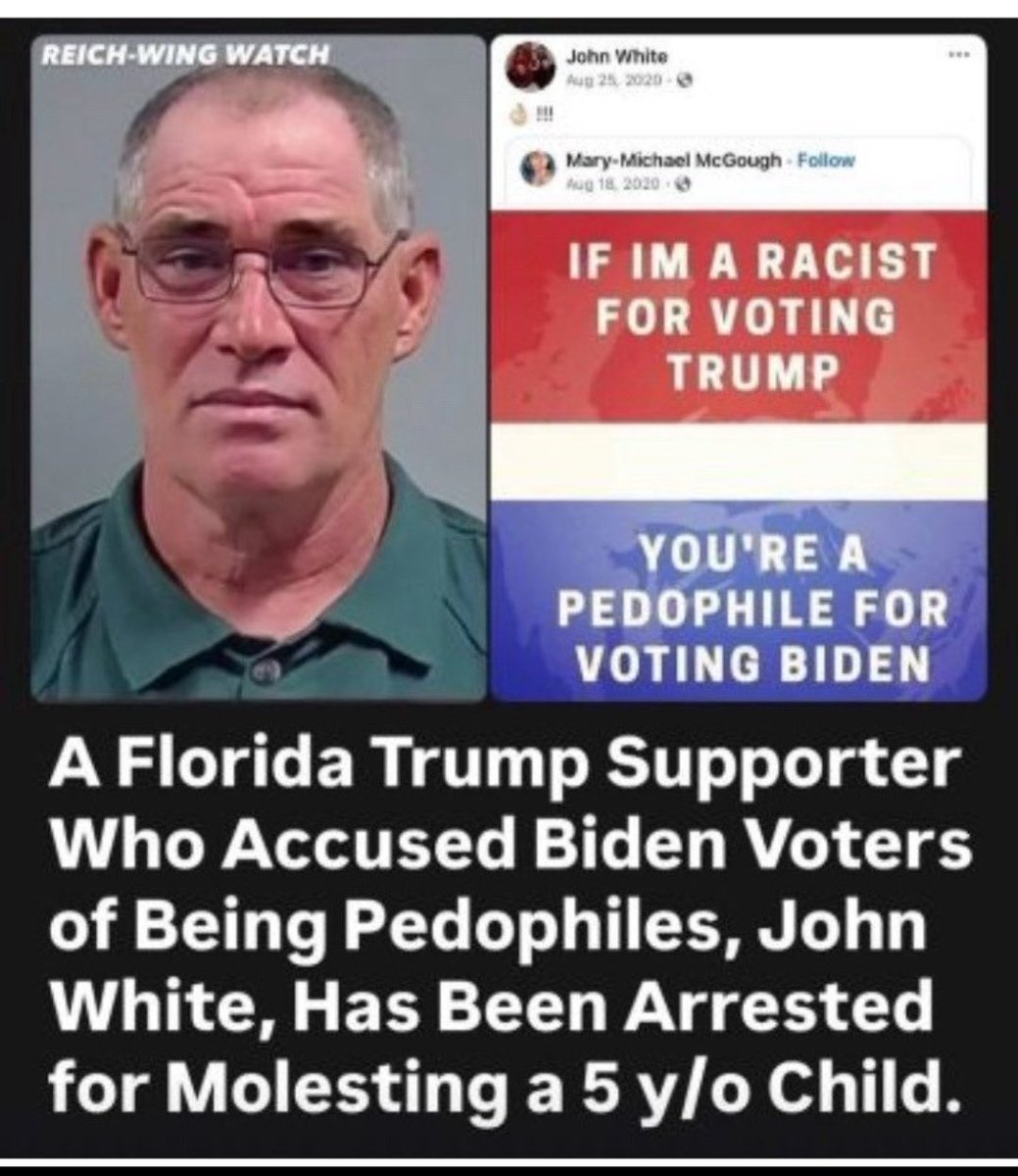 DogsAreBetter tweet media