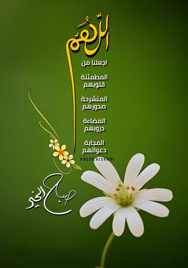 محمد العالمي💙💛 tweet media