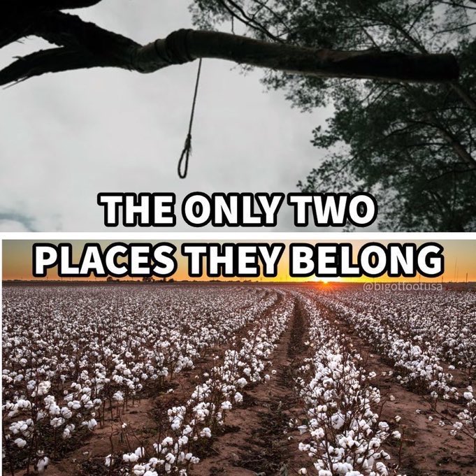 Inferno Ovhell tweet media