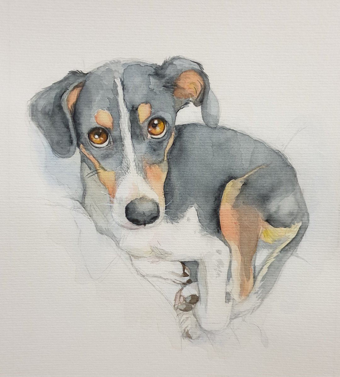 Salmoreja3D tweet media