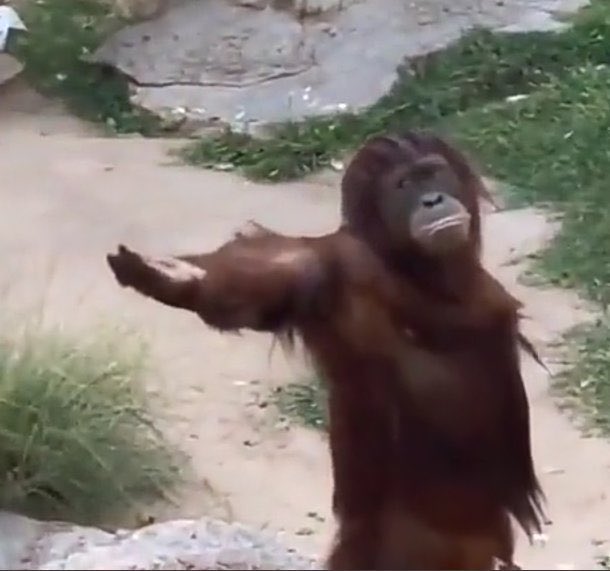 Ombudsman tweet media