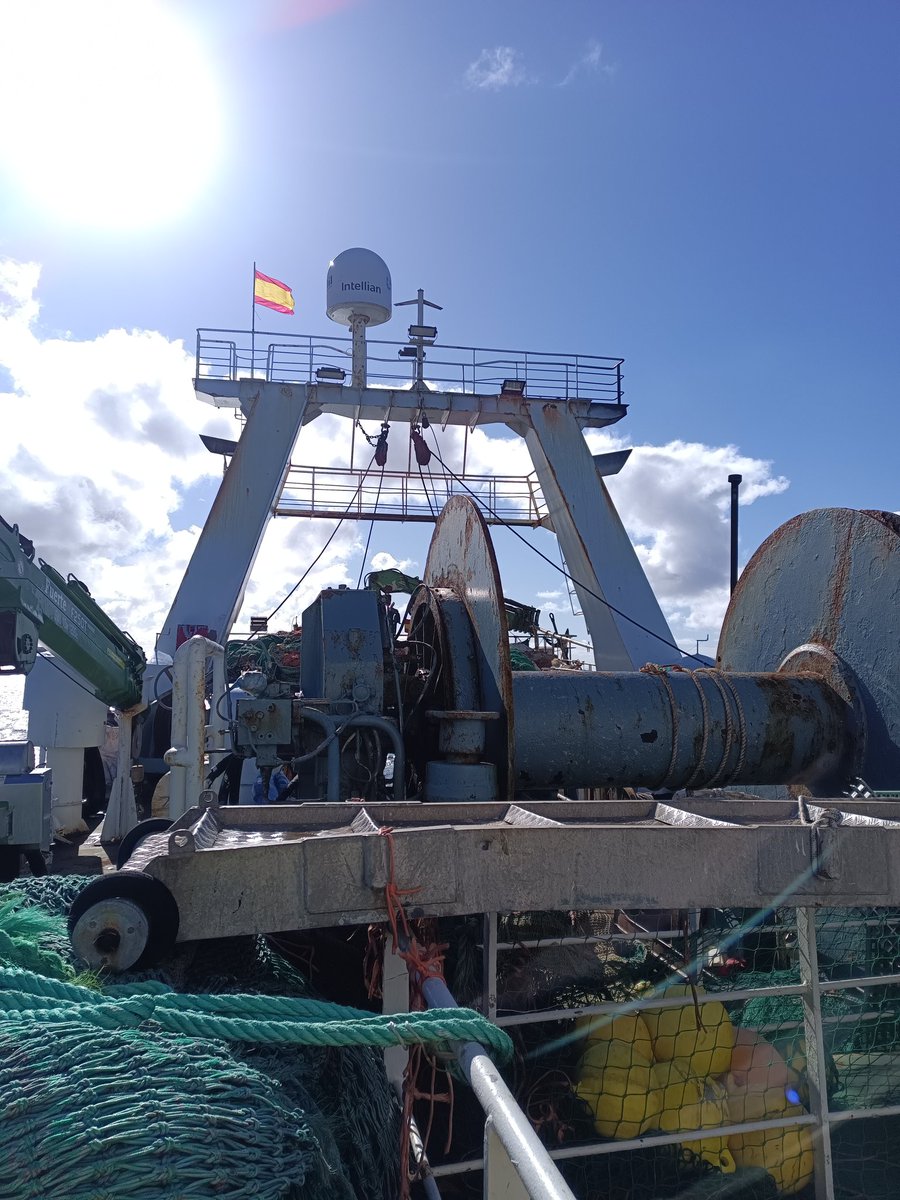 Falklands FishOps tweet media