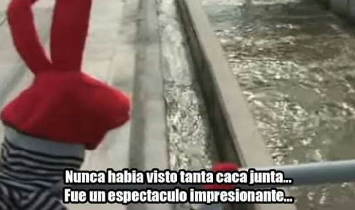 Luuck Third tweet media