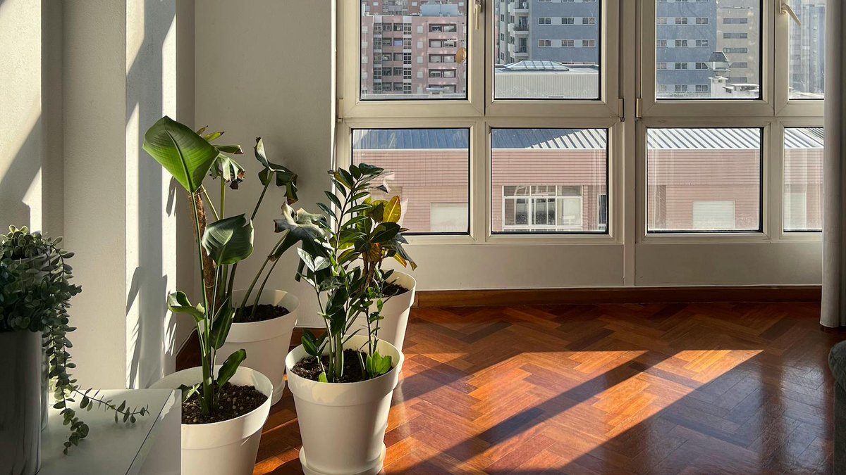 ITLThoughtLeadership tweet media