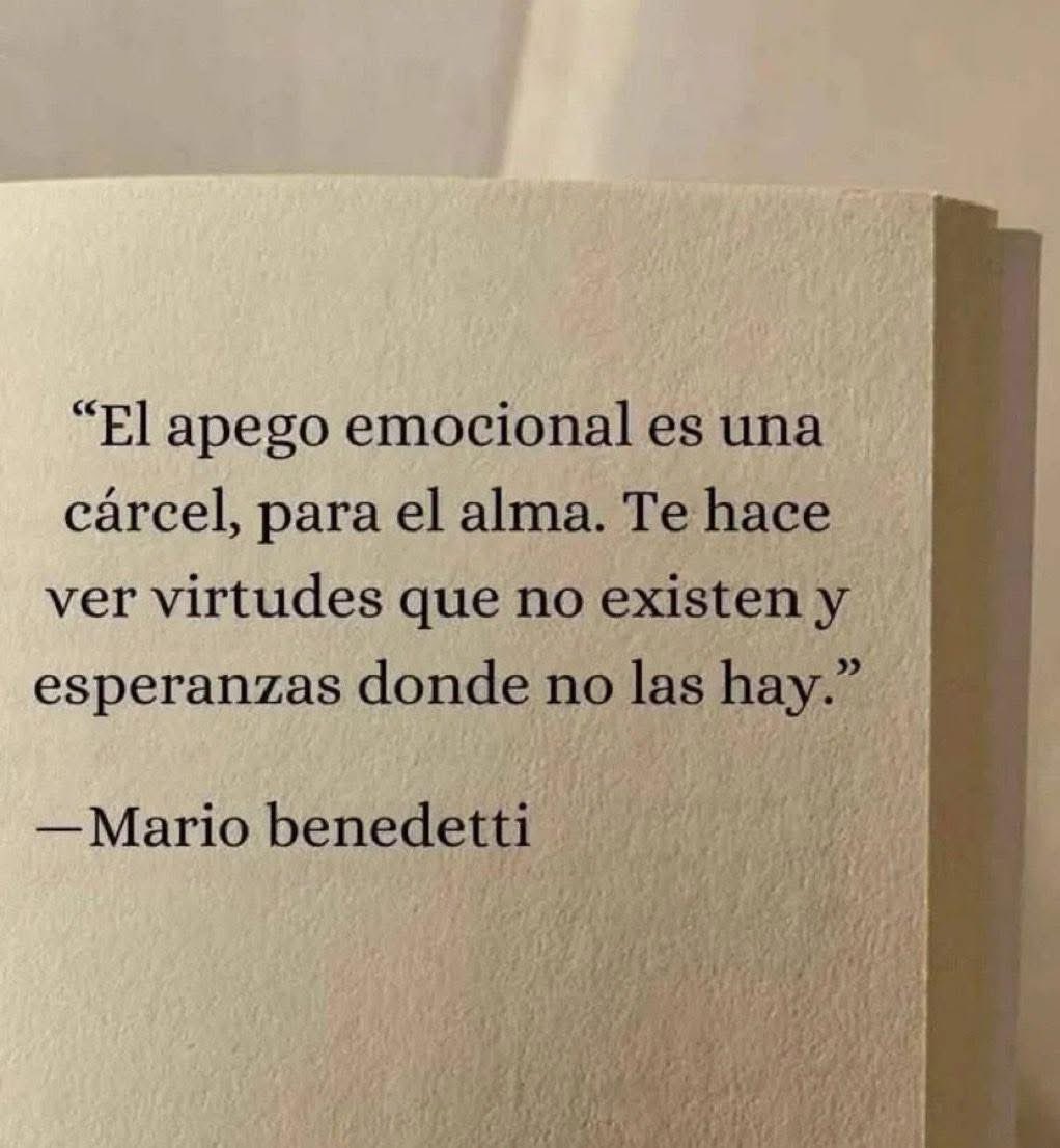 Amor por los libros tweet media