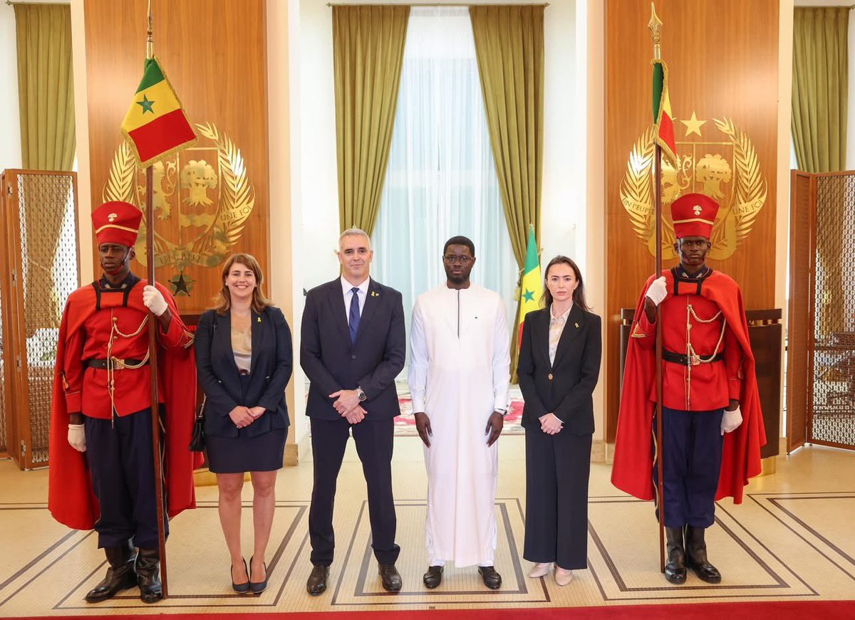 Elián Marcelito 🇩🇴 tweet media