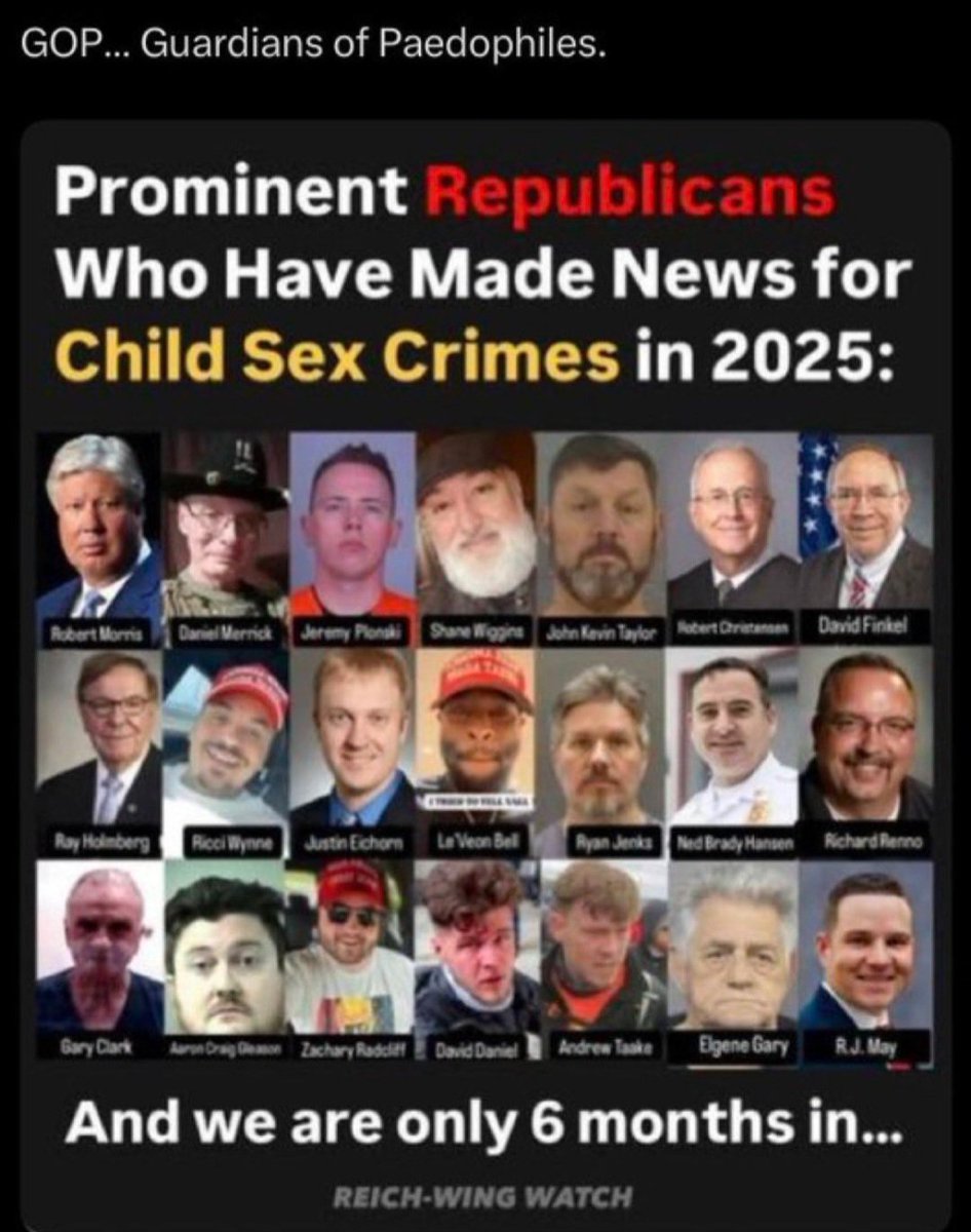 DogsAreBetter tweet media