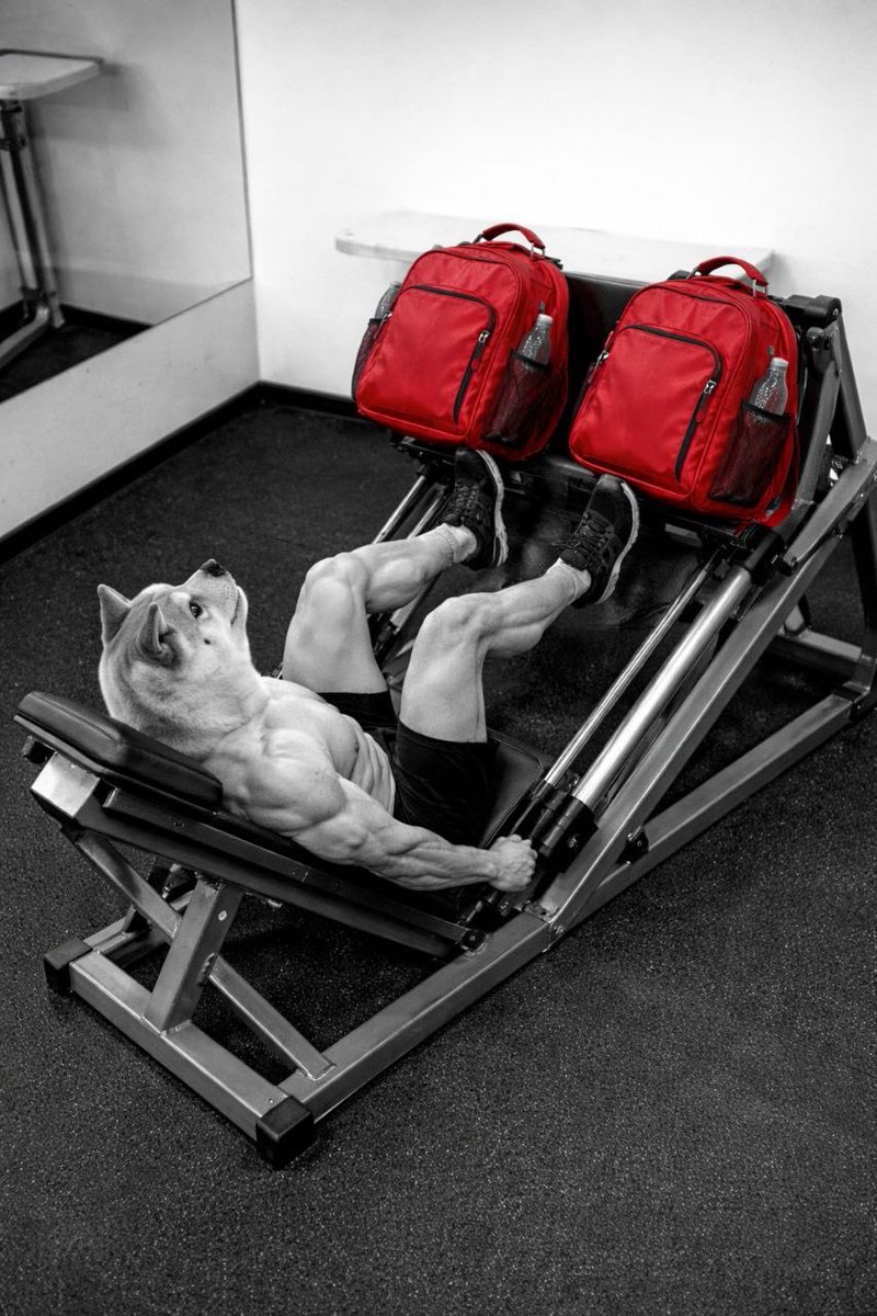 MARLAY🎒 tweet media