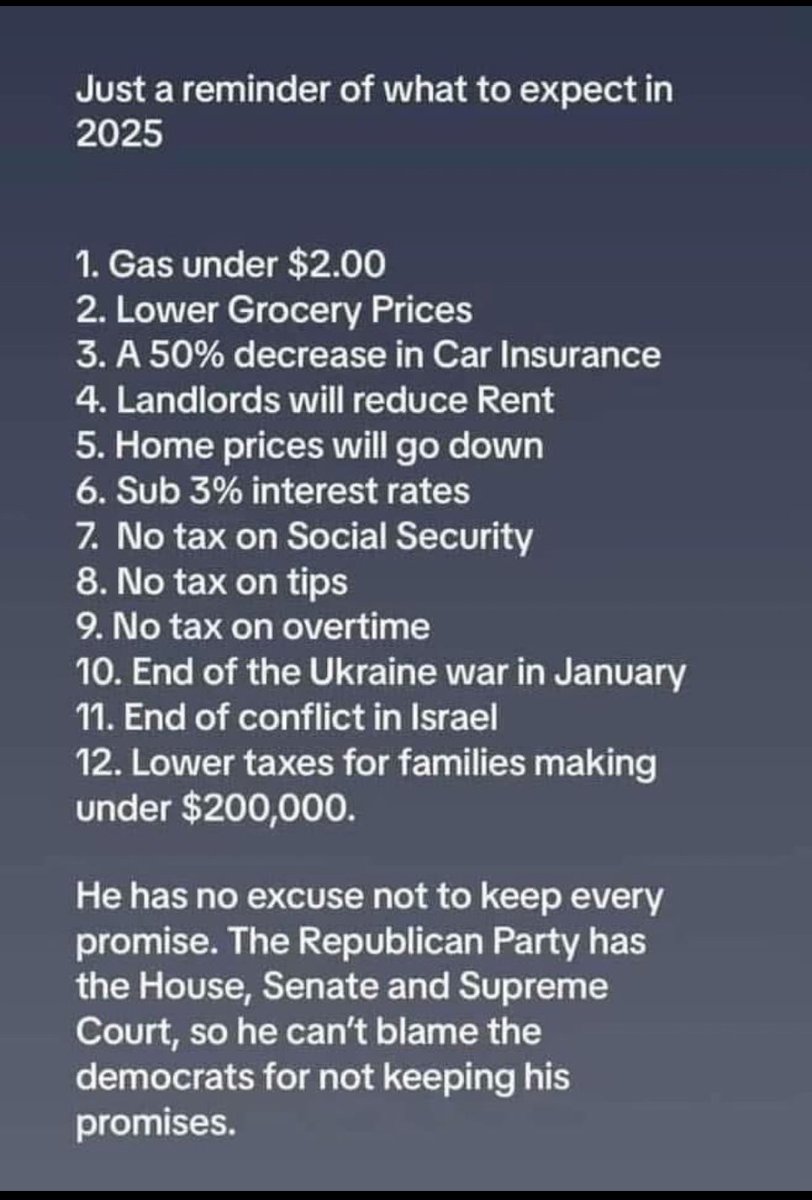 DogsAreBetter tweet media