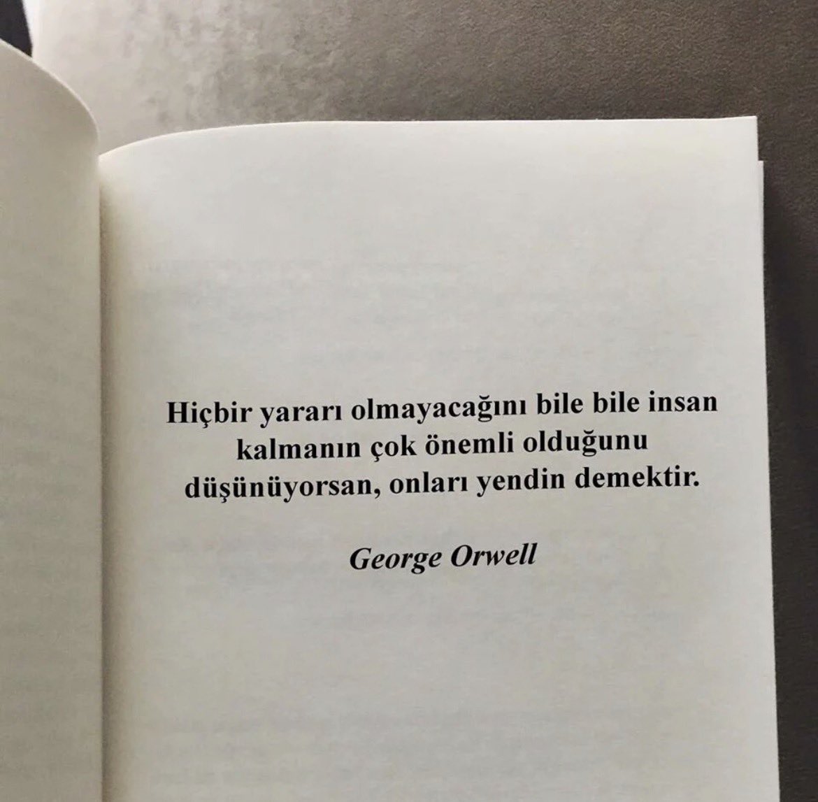 şruppak tweet media