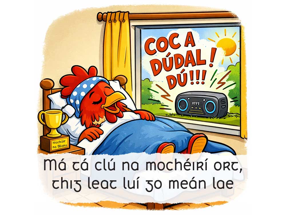 Seomra Nuachta|NuachtAnois tweet media