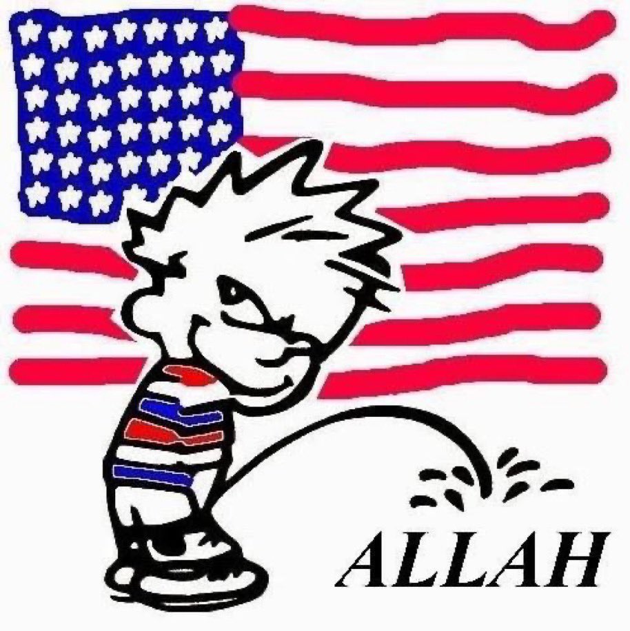 Scott Niles tweet media