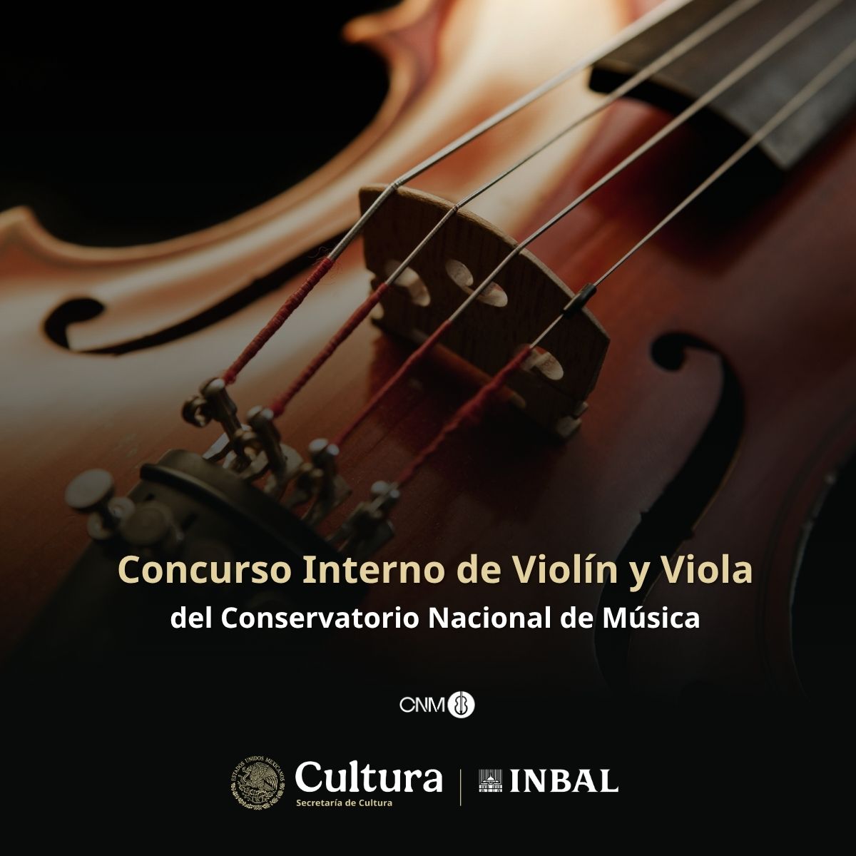 CONSERVATORIO MX tweet media