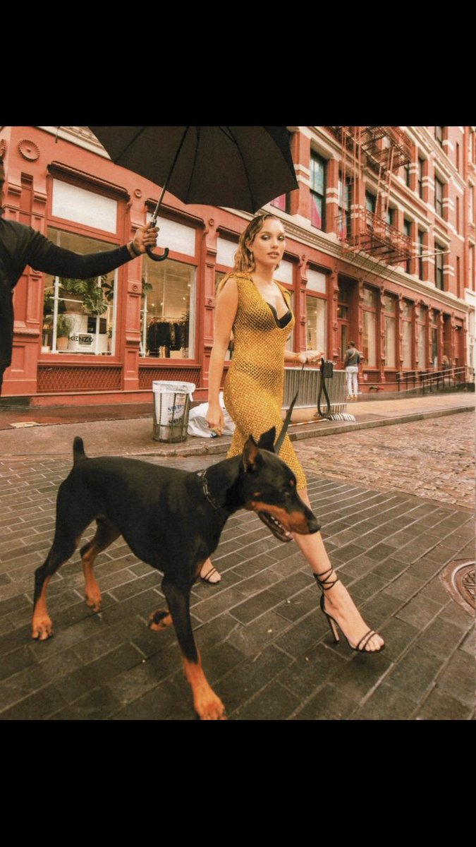 Maddie Ziegler (Rp) (PARODY)🐮💋👸🏻♠️🏳️🌈 tweet media