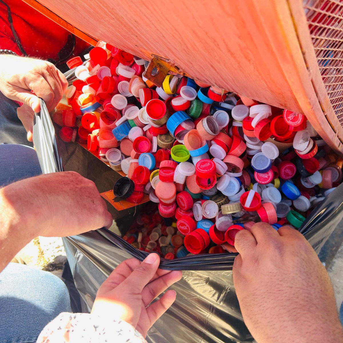 Somos MON tweet media