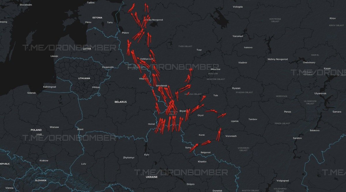 Rock - NAFO Raccoon tweet media