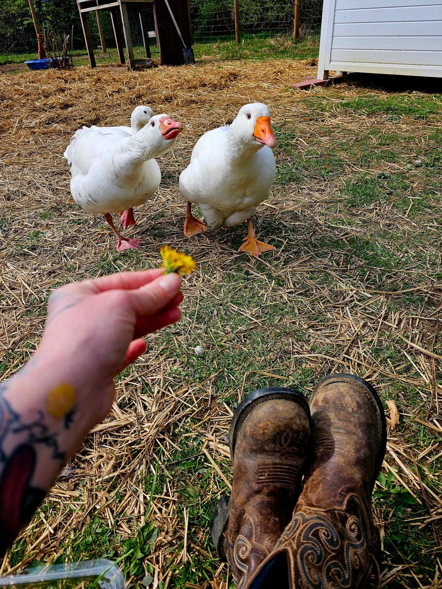 NOTFarms tweet media