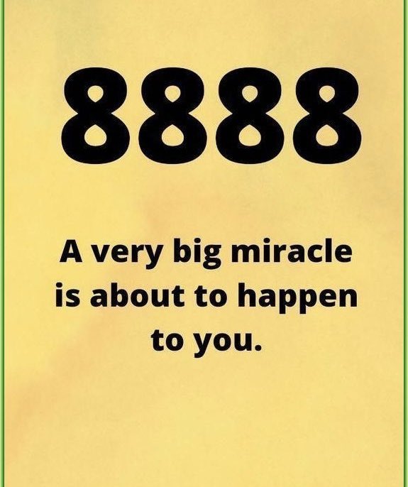 ProgressCode🌺 tweet media