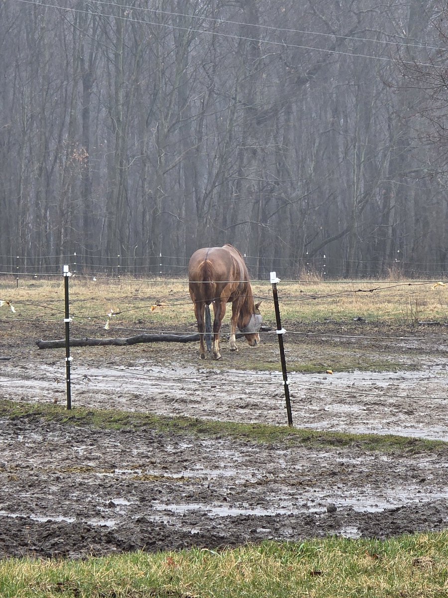 stressy bessy 🦋 tweet media