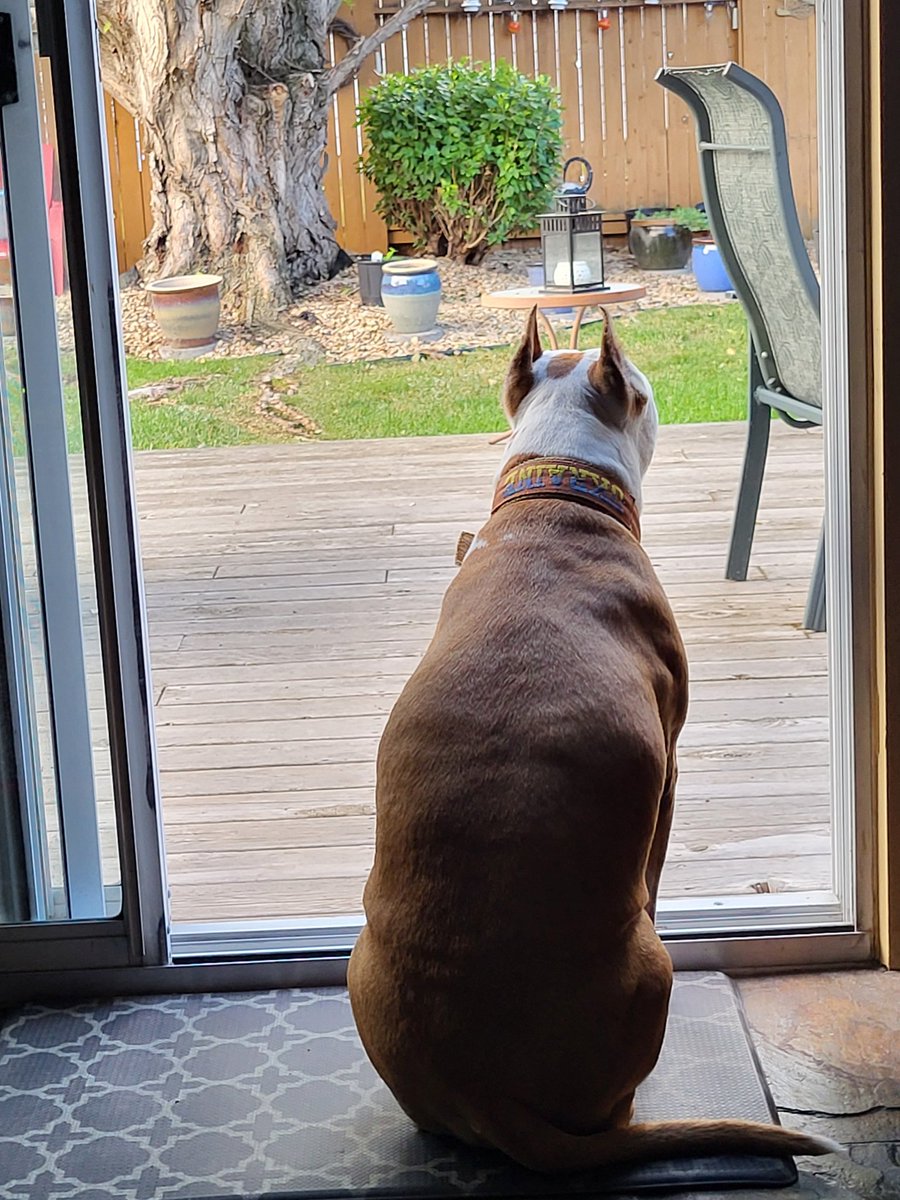 After 4 years, Cinderella still waits patiently at the door for her OLEG to return from the Front where he died defending his Homeland.
26.03.2026
💔💔