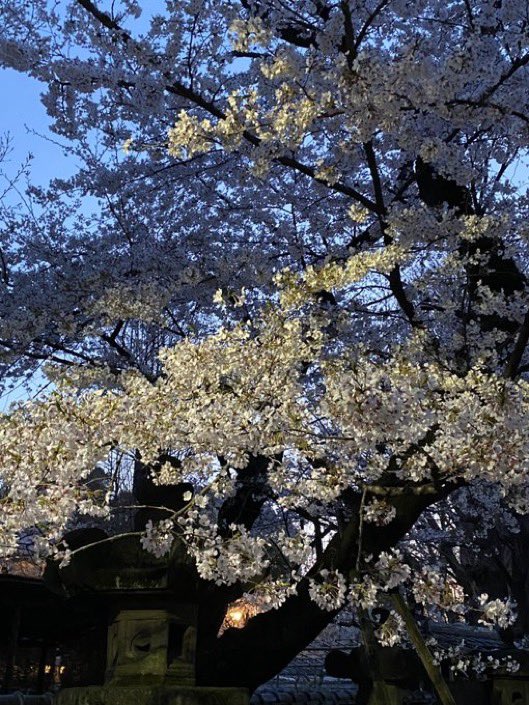 インクロム【公式】 tweet media