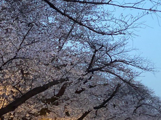 インクロム【公式】 tweet media