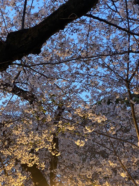 インクロム【公式】 tweet media