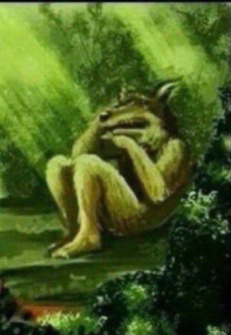 wonderkid fatih 🇵🇸 tweet media