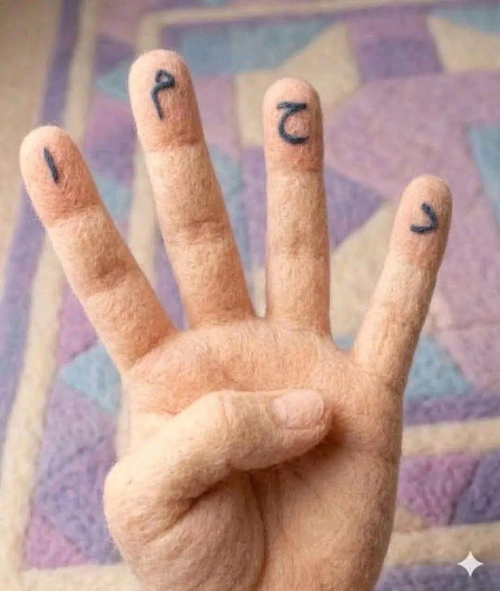 فلونا ✨✨ tweet media