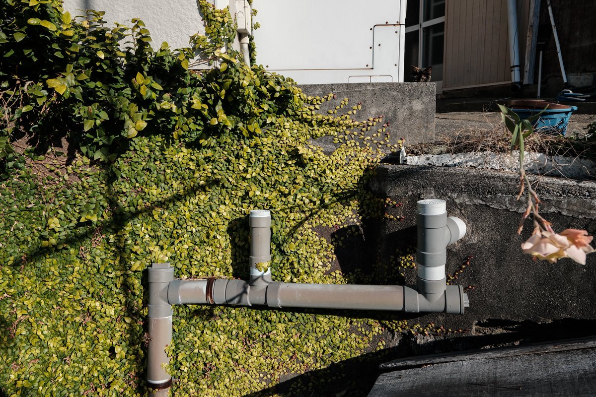 小林哲朗 写真家 tweet media