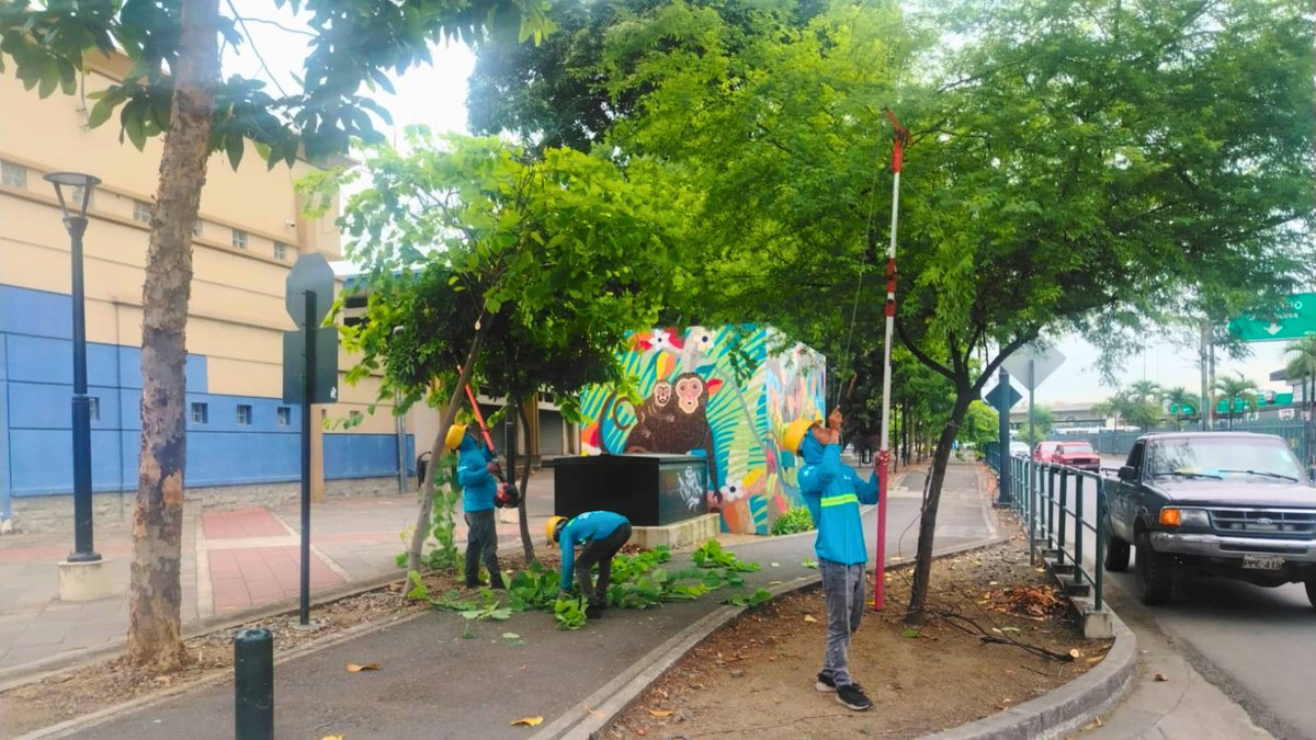 Parques EP tweet media