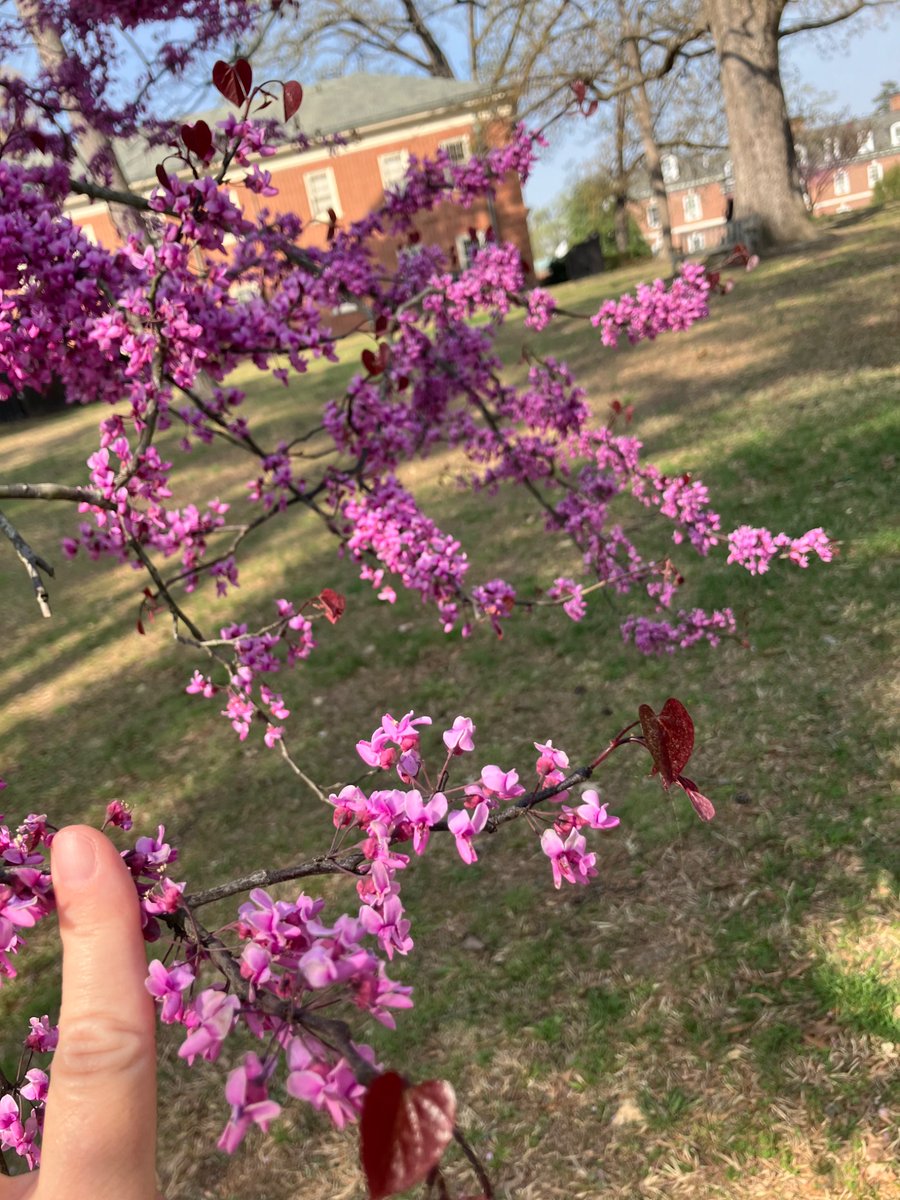 Amy Laura Hall tweet media