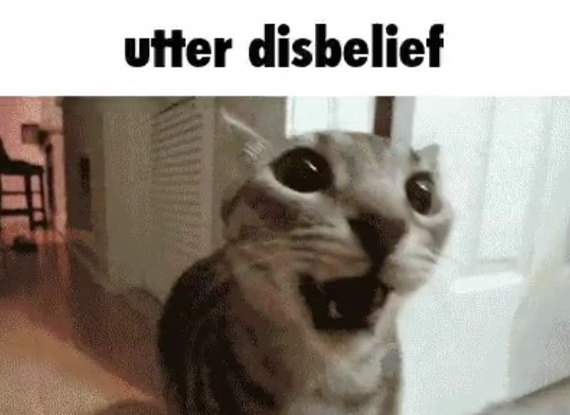 Chlo_ver🕷️ tweet media