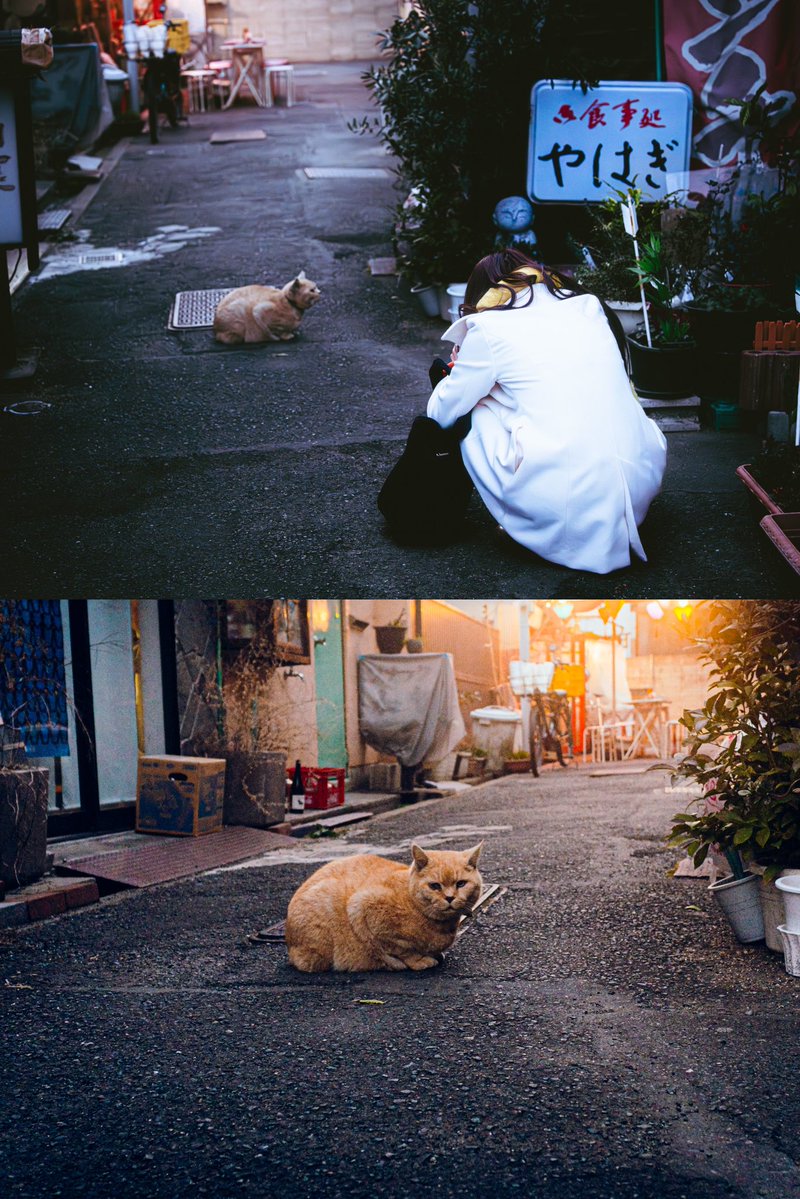 もしもしも@先ず隗より始めよ tweet media