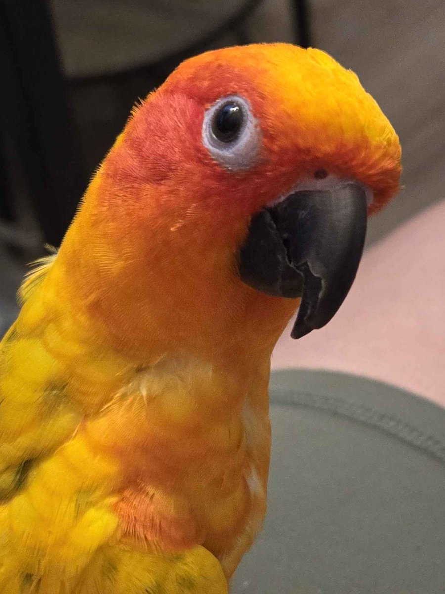 ImagineHeart tweet media