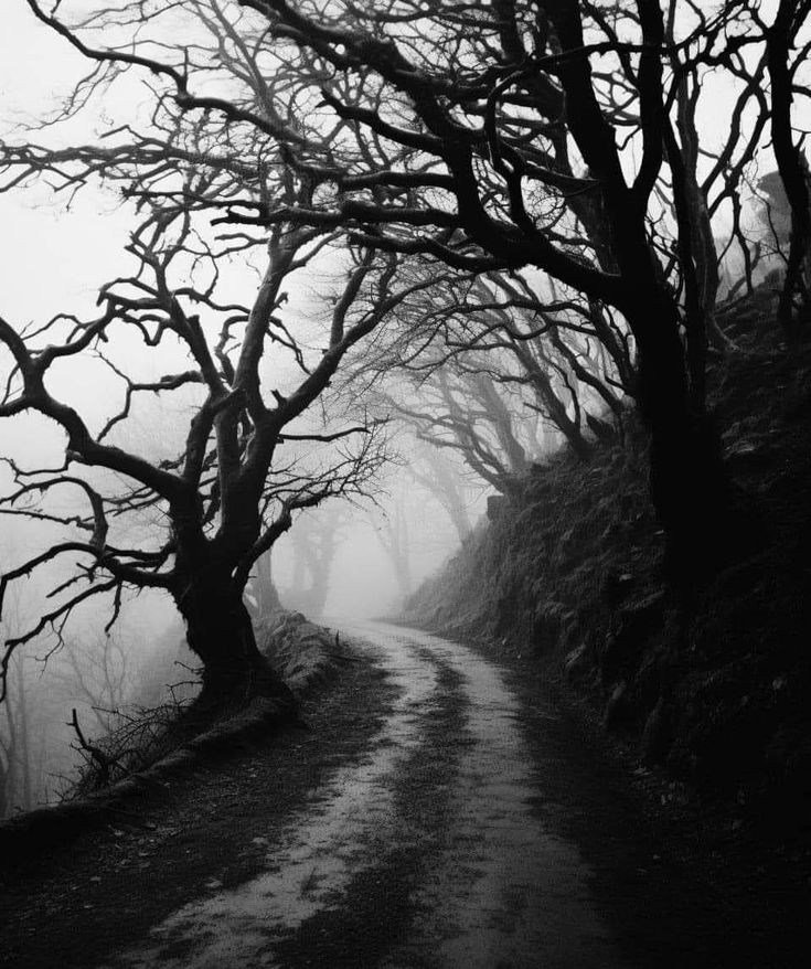 Jakeline Wiliane tweet media