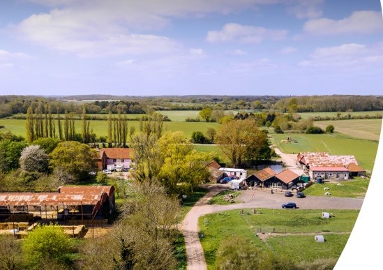 All Things Norfolk tweet media