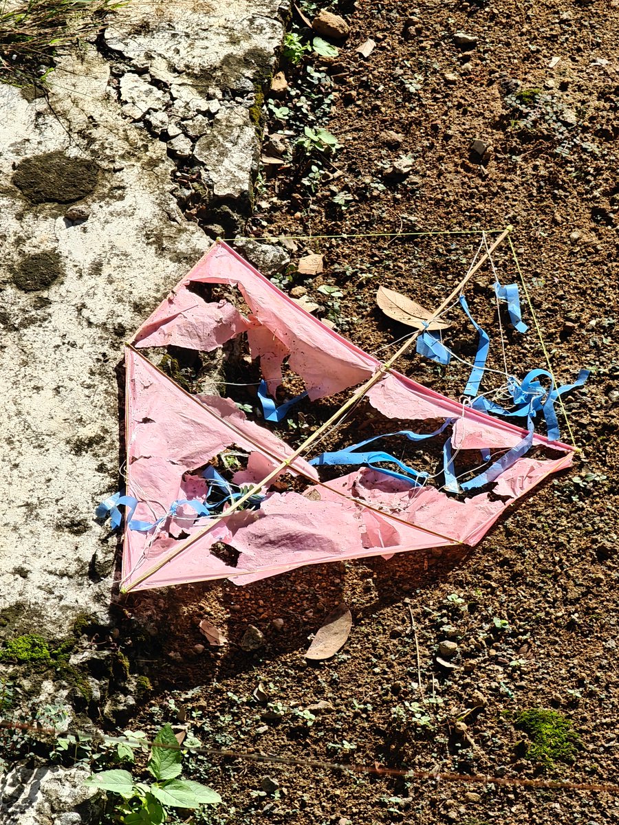 Sperandio4Tech tweet media