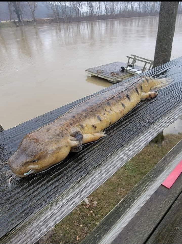 Farrell Ross I FOLLOW BACK tweet media