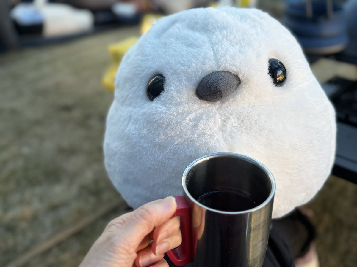 ムク🏕️ tweet media