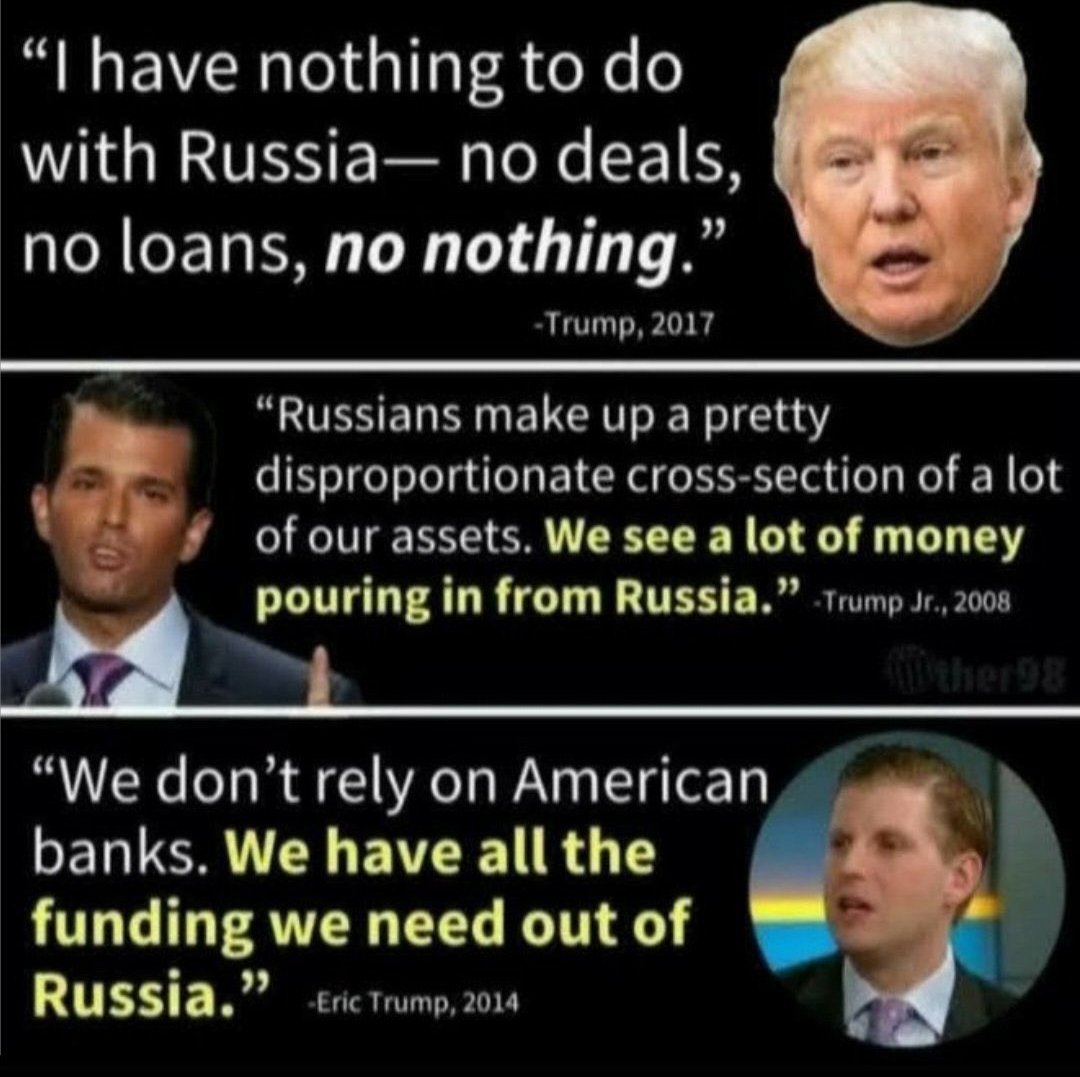 DogsAreBetter tweet media