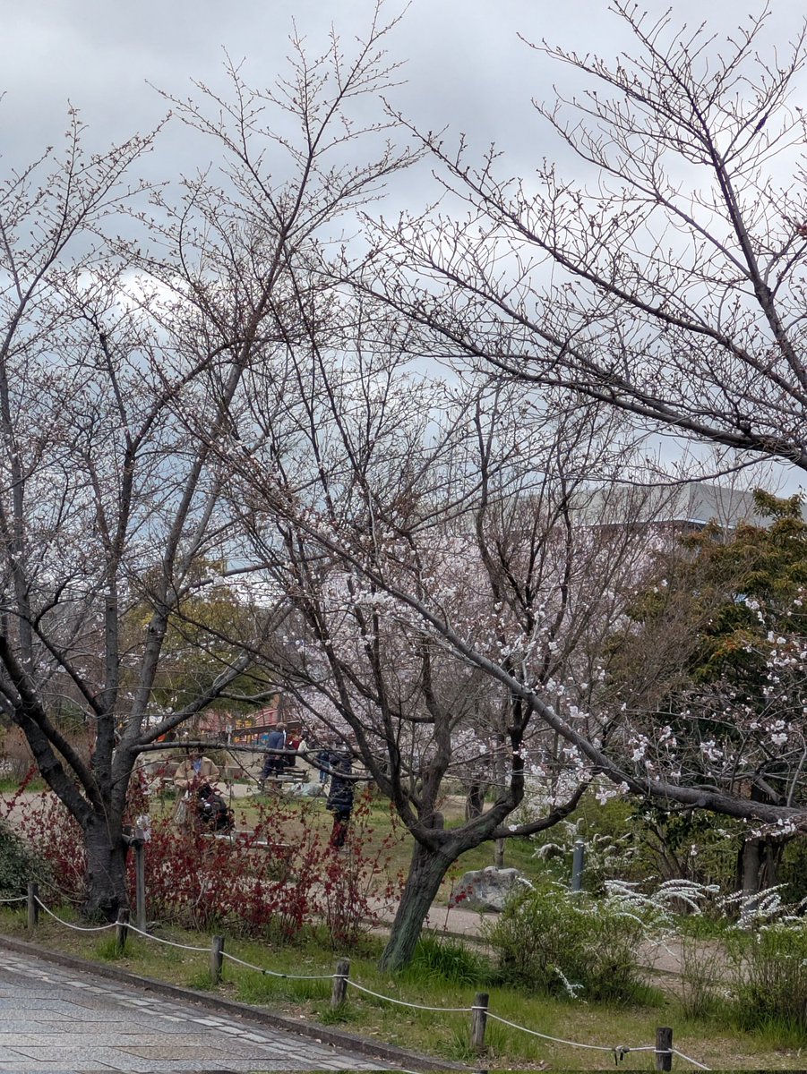 正紘(マサヒロ)🌈💎🌞 tweet media